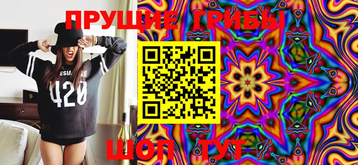 Псилоцибиновые грибы Cubensis  Галлюциногенные грибы Cubensis  Елизово  Вход с VPN 